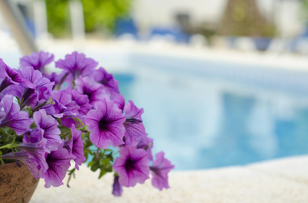 La Crisalida Retreats Apartment El Albir Екстериор снимка